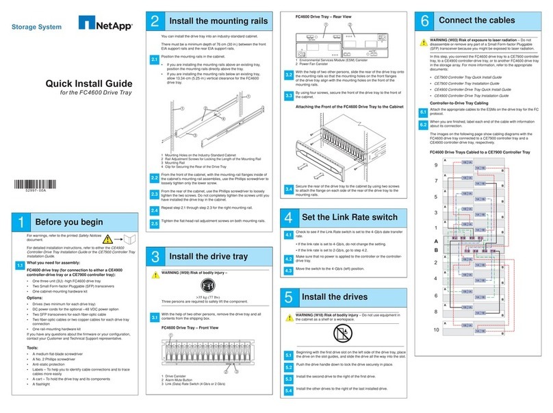 NetApp FC4600 Quick install guide