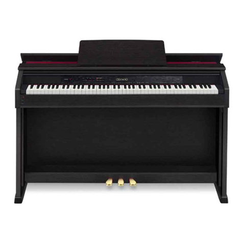 Casio AP-450 user guide