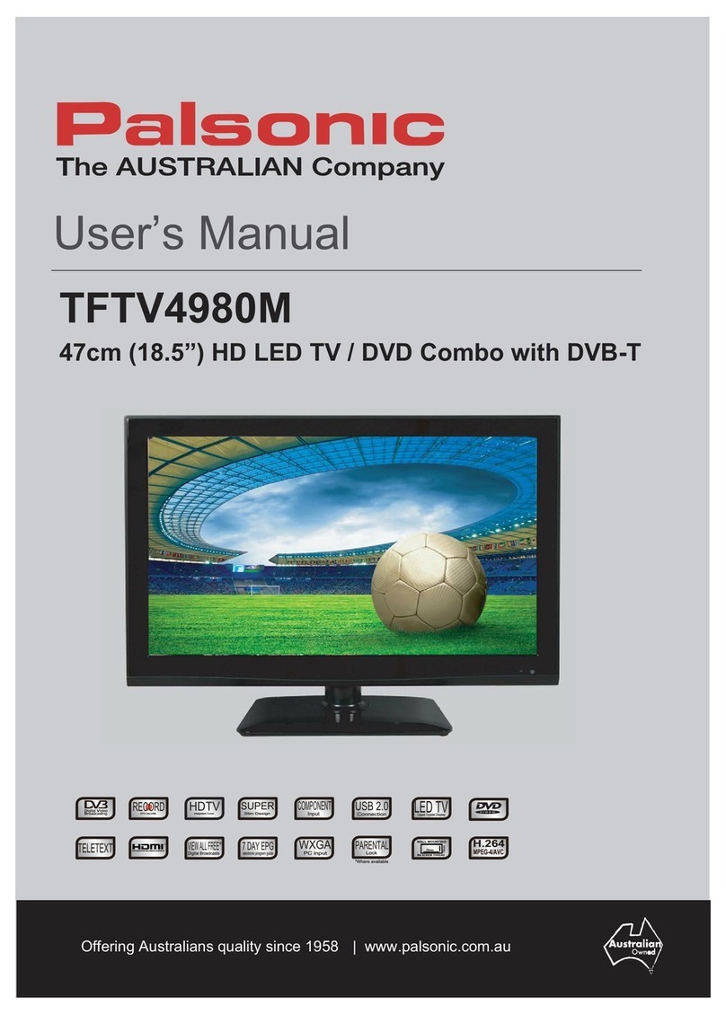 Palsonic TFTV4980M User manual