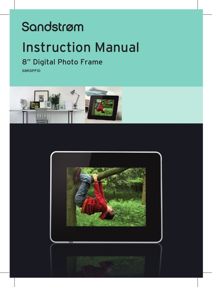 Sandstrom S8KDPF10 instruction manual