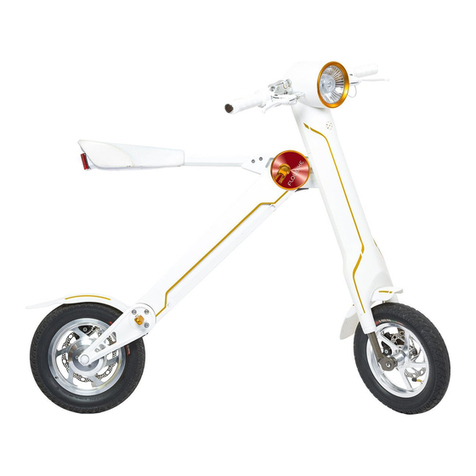 SoFlow Flowbike Genuine operating instruction