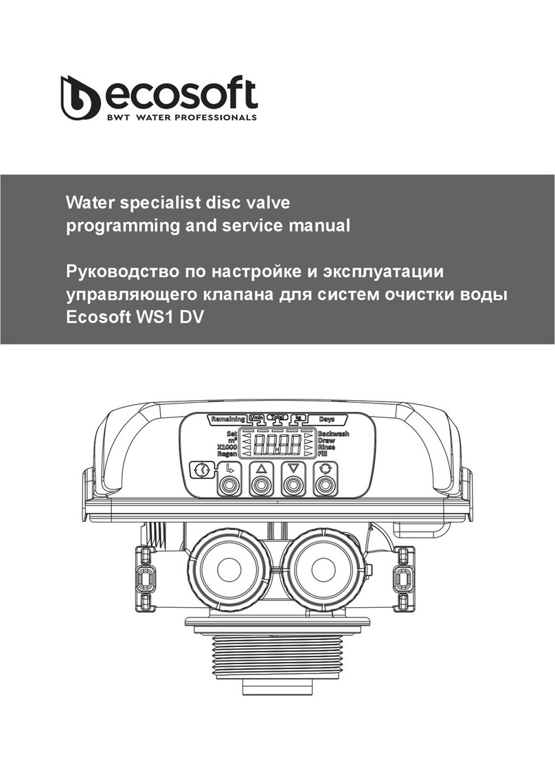 Ecosoft WS1 DV User manual