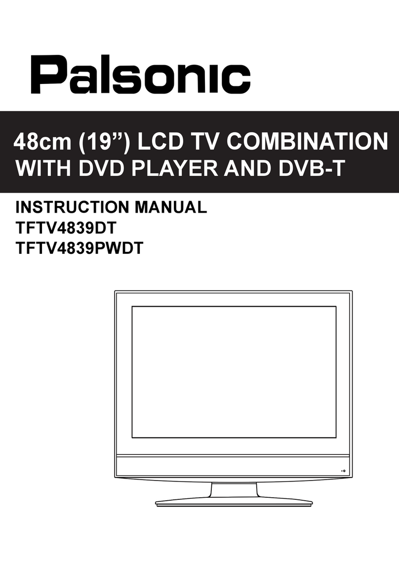 Palsonic TFTV4839DT instruction manual