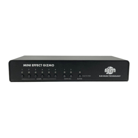 RJM MINI EFFECT GIMZO X User manual