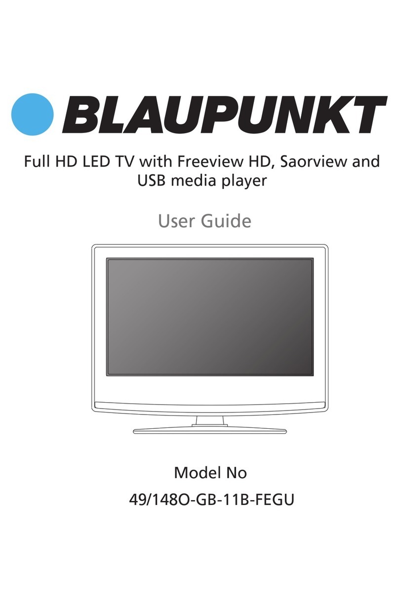 Blaupunkt 49/148O-GB-11B-FEGU user guide