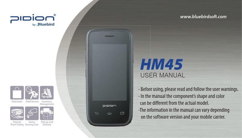 Pidion HM45 User manual