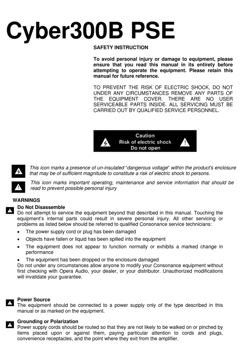 Opera Audio CYBER-300BPSE User manual