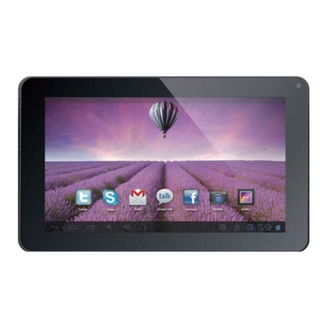 Envizen V917G T user manual
