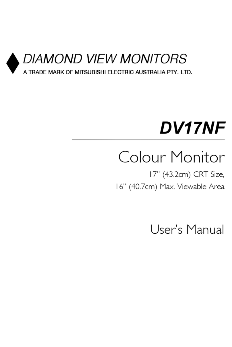 Diamond View DV17NF user manual