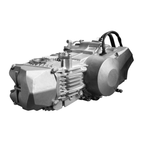 Daytona ANIMA 190FSM owner's manual