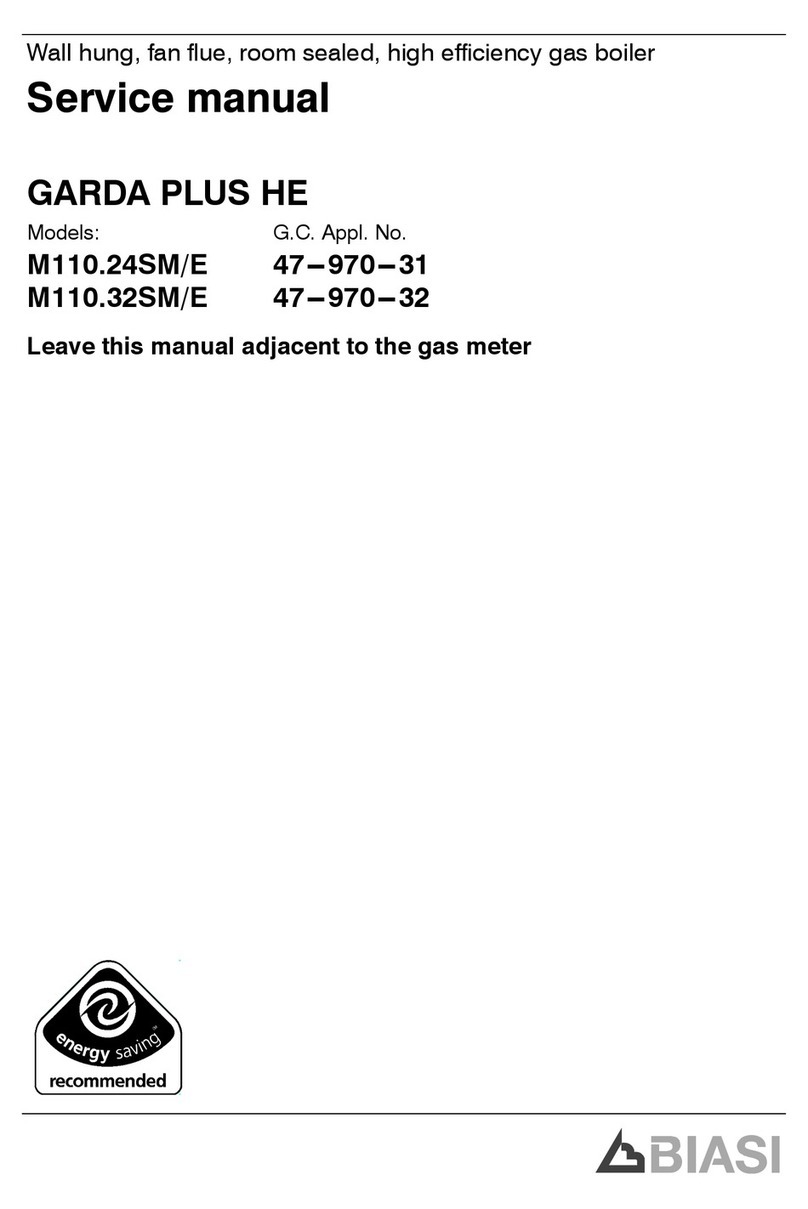 Biasi M110.24SM/E Service manual Biasi M110.24SM/E Service manual