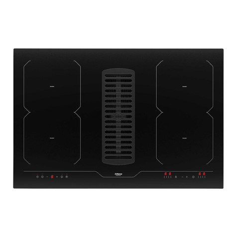 Eico 4717ASPIRACENTRALE Technical manual