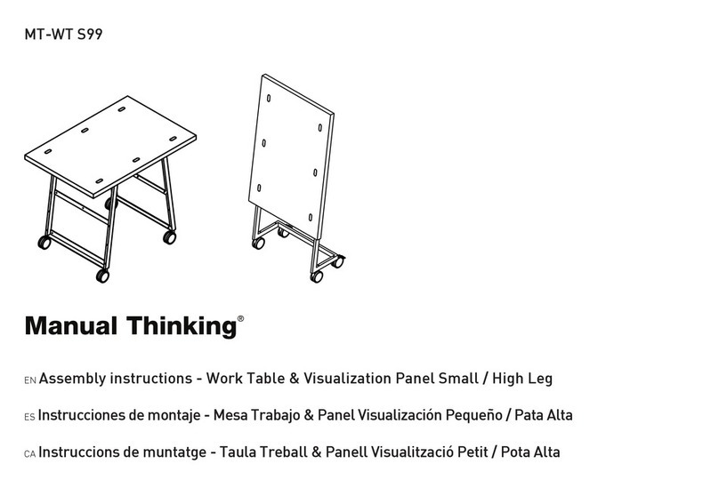 Manual Thinking MT-WT S99 User manual Manual Thinking MT-WT S99 User manual