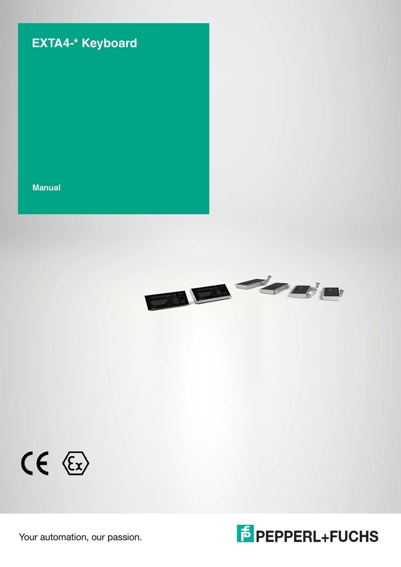 Pepperl+Fuchs EXTA4 Series User manual