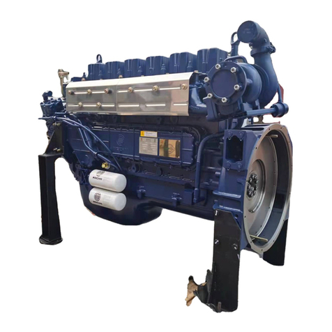 WEICHAI WP10 User manual