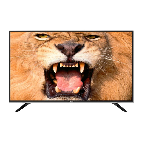Nevir NVR-9002-32RD2S-SM User manual