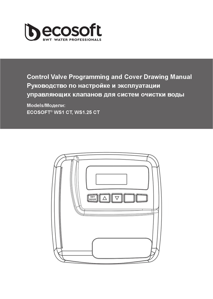 Ecosoft WS1 CT manual