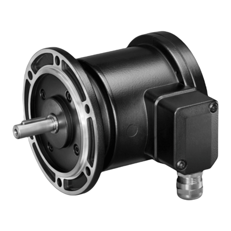 Baumer Hubner POG 9 Mounting and operating instructions