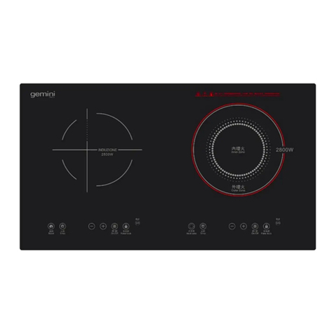 Gemini GVI2800 user guide