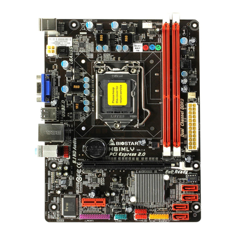 Biostar H61MLV Setup manual