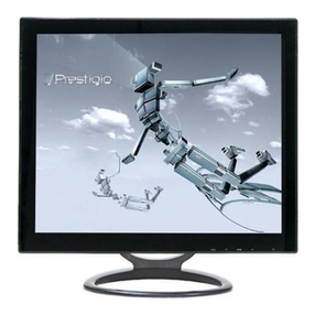 Prestigio P1910 User manual