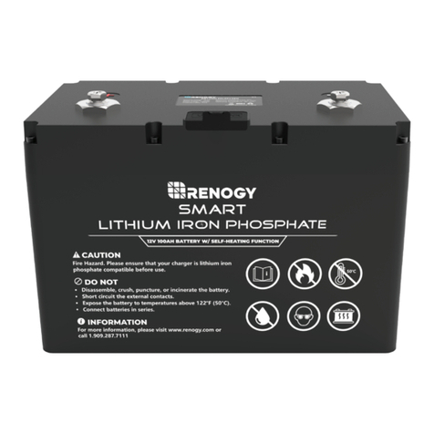 Renogy RBT100LFP12SH manual