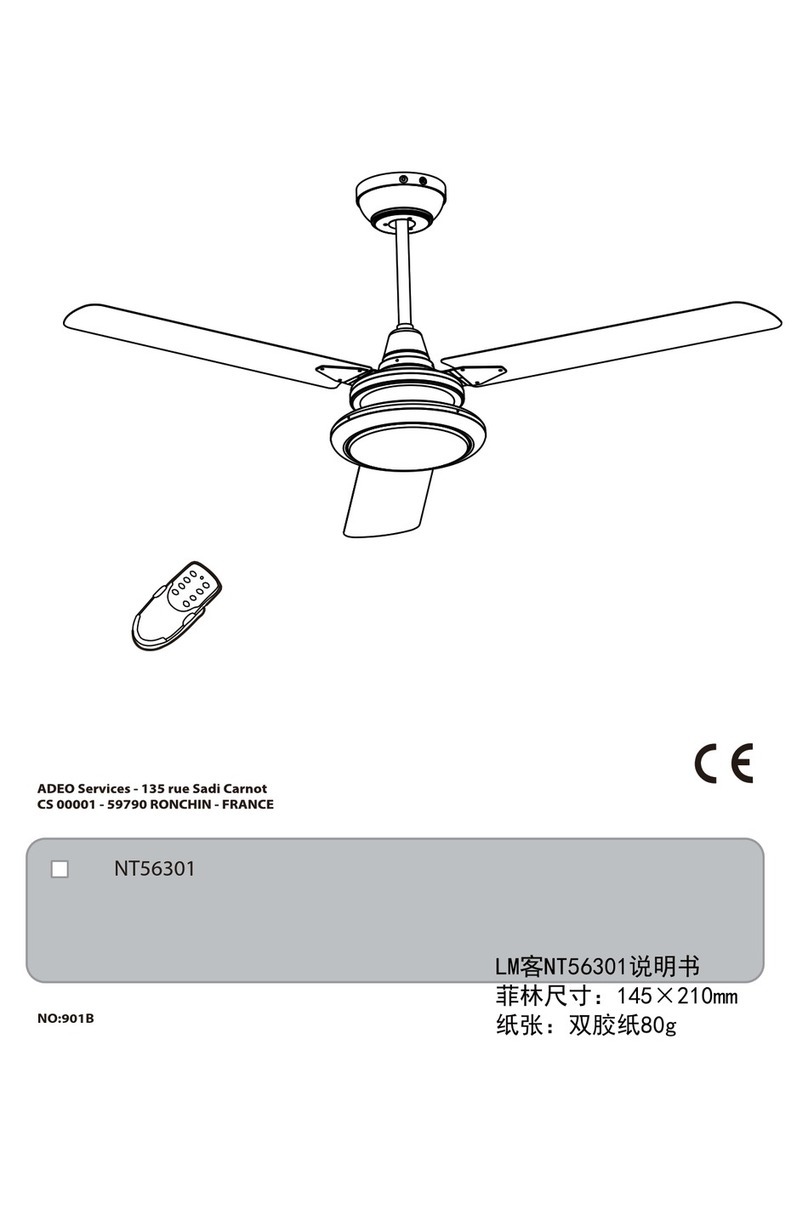 ADEO Services NT56301 manual