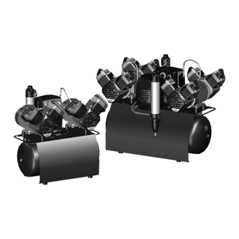 Durr Dental Duo Tandem Installation and operating instructions