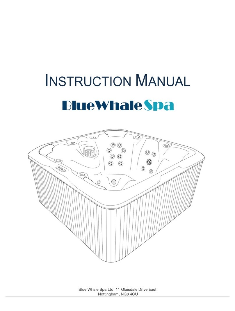 Blue Whale Spa Balboa MVP260 instruction manual