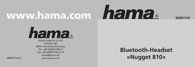 Hama Nugget 810 manual
