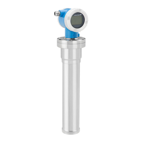 Endress+Hauser Gammapilot M FMG50 Technical specifications