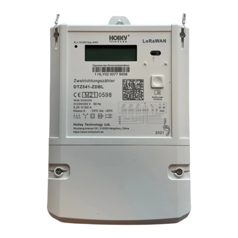 Holley LoRaWAN DTZ541-ZDBL user manual