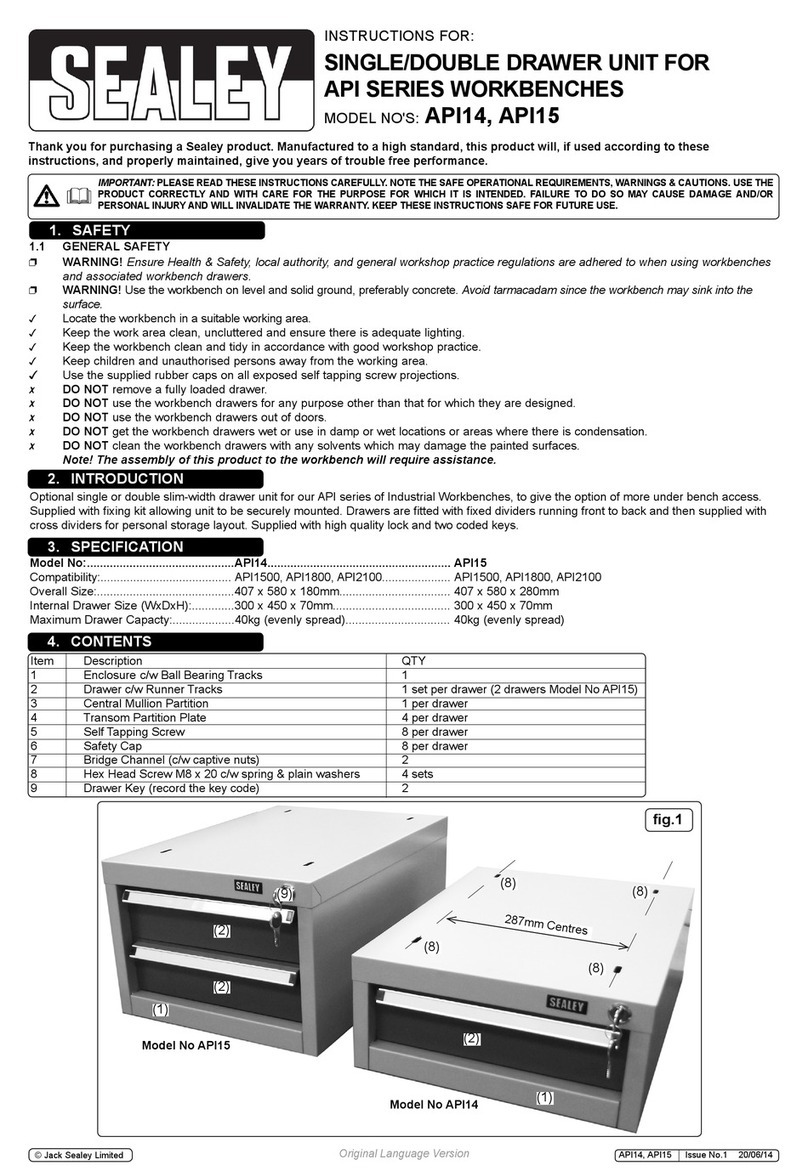 Sealey API Series User manual