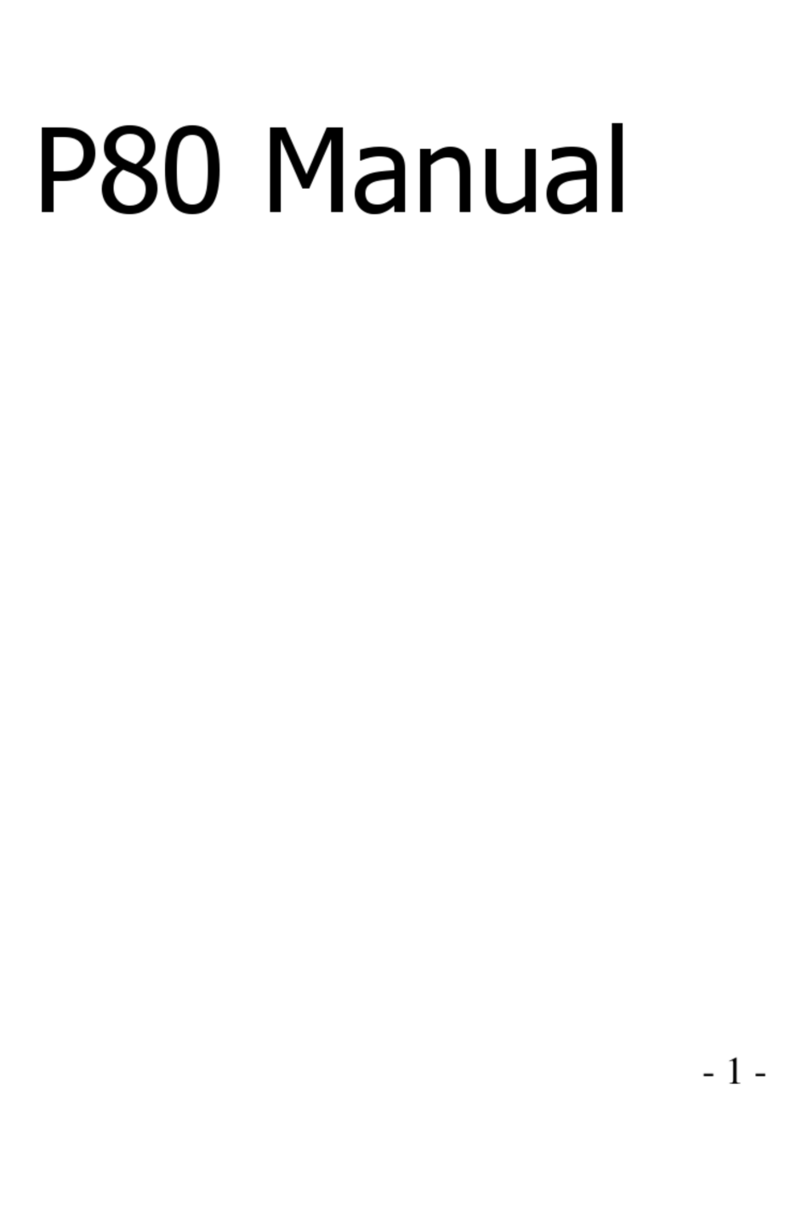 paratech P80 manual