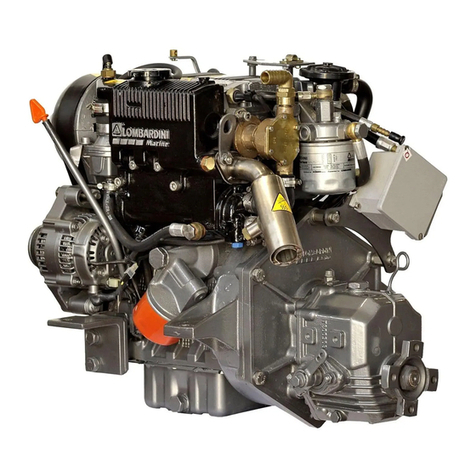 Lombardini LDW 502 M Use & maintenance
