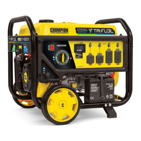 Champion 100416 User manual
