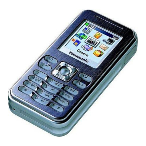 Panasonic EB-X100 User manual