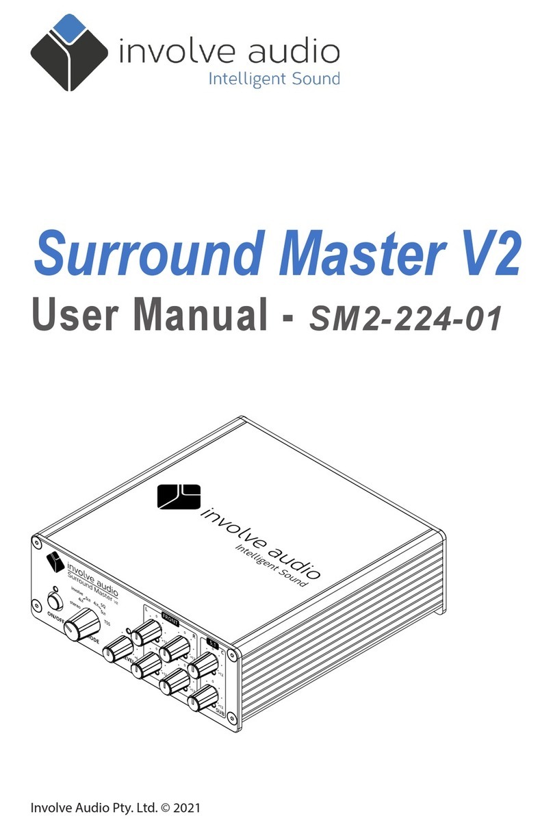 Involve Audio Surround Master V2 user manual