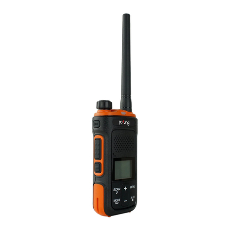 PO Fung Electronic P11UV manual