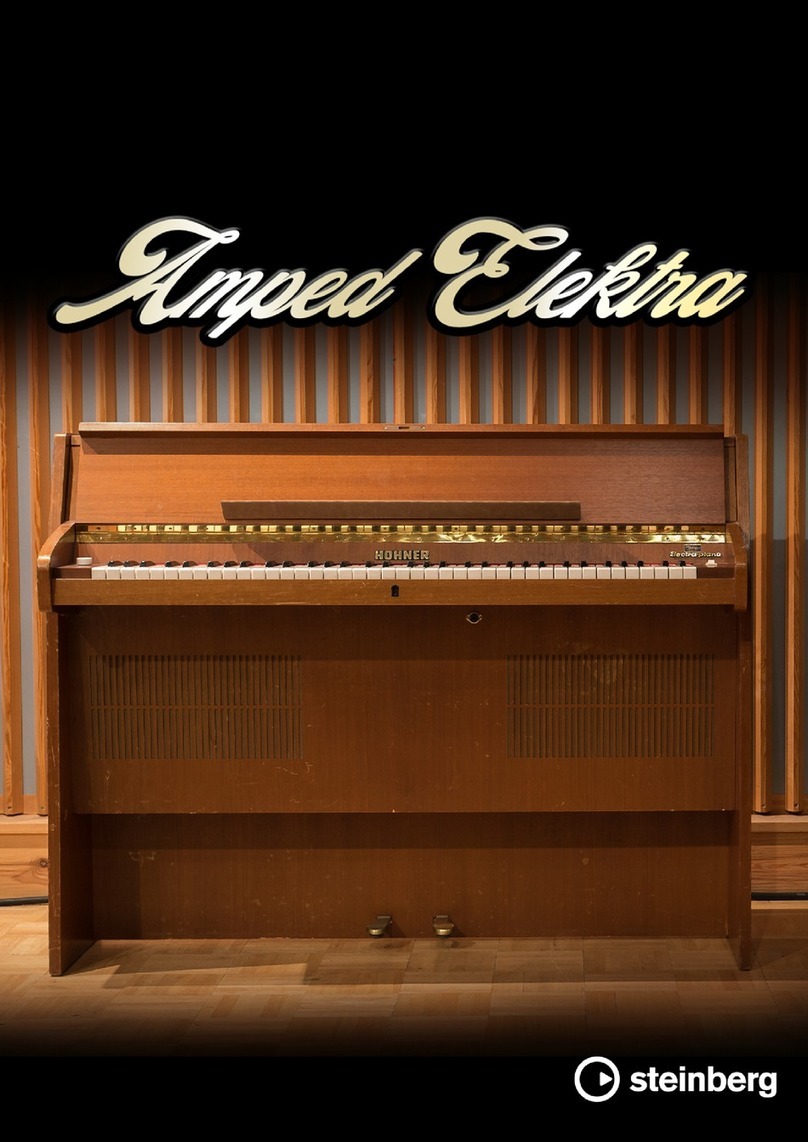 Steinberg Amped Elektra manual