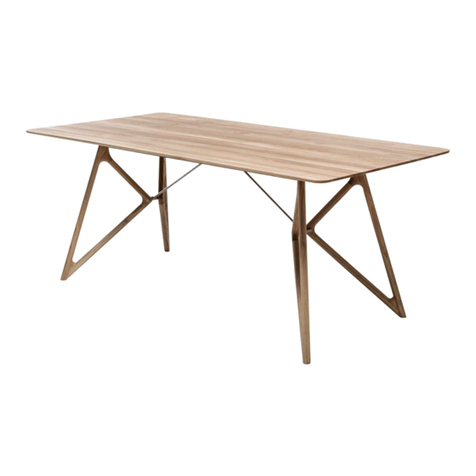 GAZZDA Tink Table User manual
