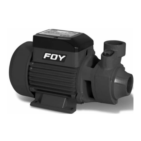 Foy BP305 User manual and warranty Foy BP305 User manual and warranty