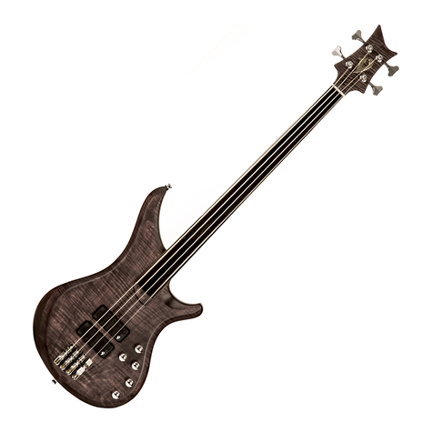 Vigier Passion Series Bass 4 manual
