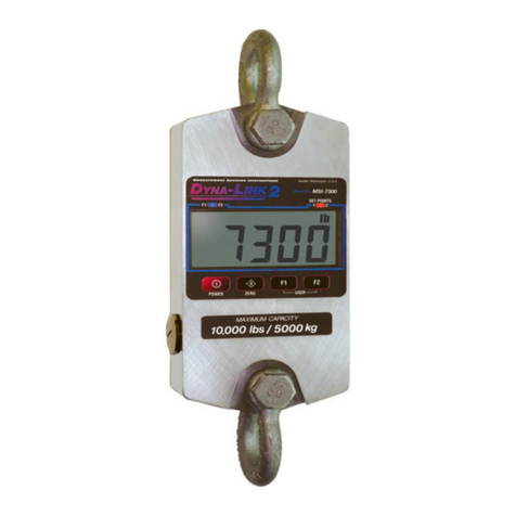 Rice Lake MSI-7300 User manual