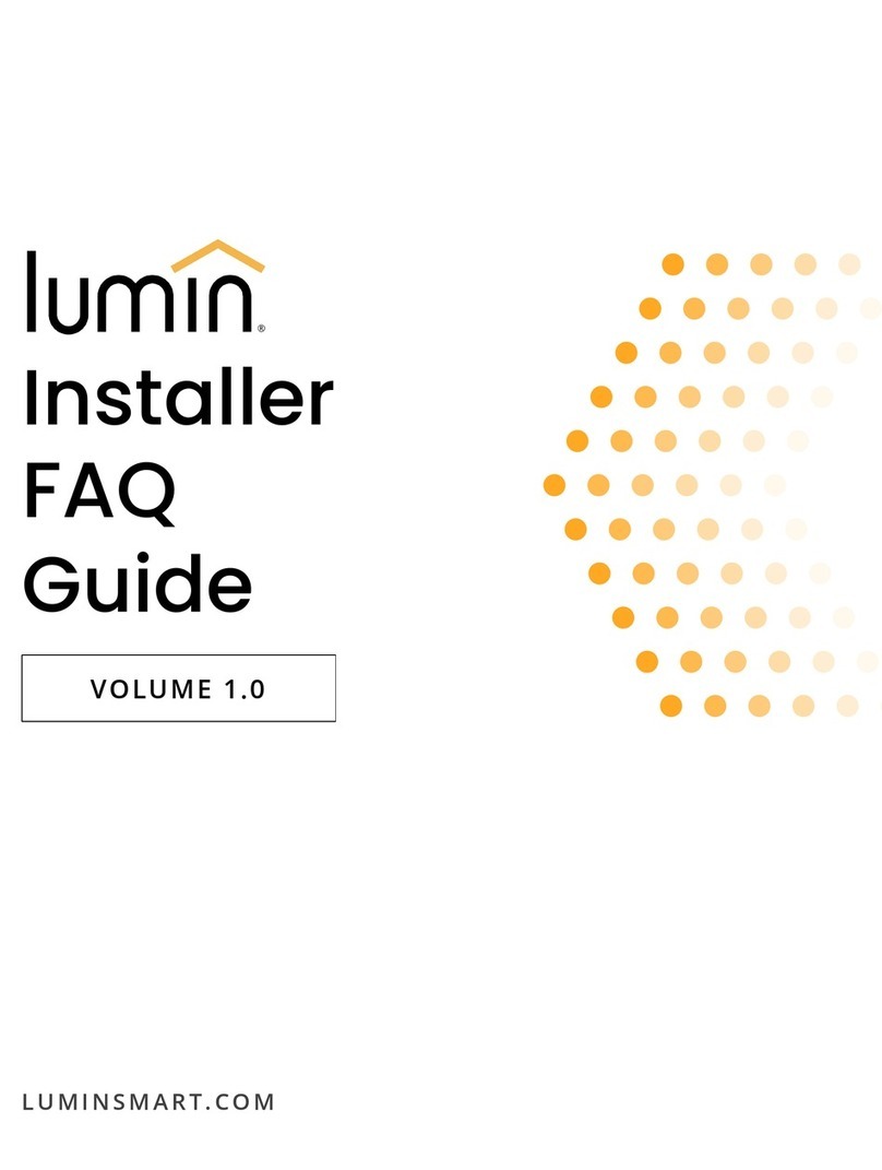 Lumin LSP Installer's guide