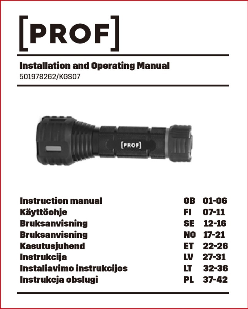 PROF 501978262 User manual