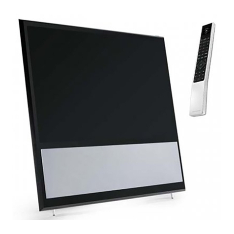 Bang & Olufsen DVB-HD User manual