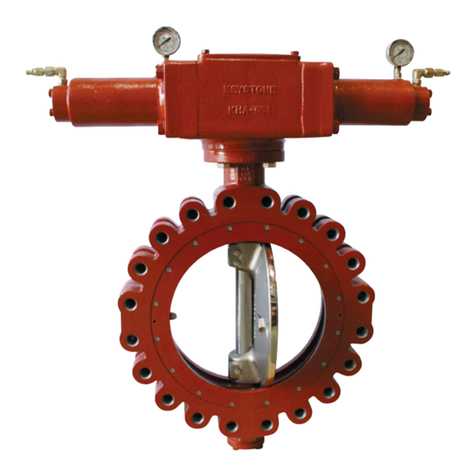 Emerson KEYSTONE V30 Series User manual