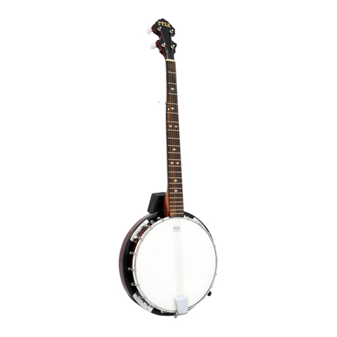 Pyle 5-String Banjo user manual