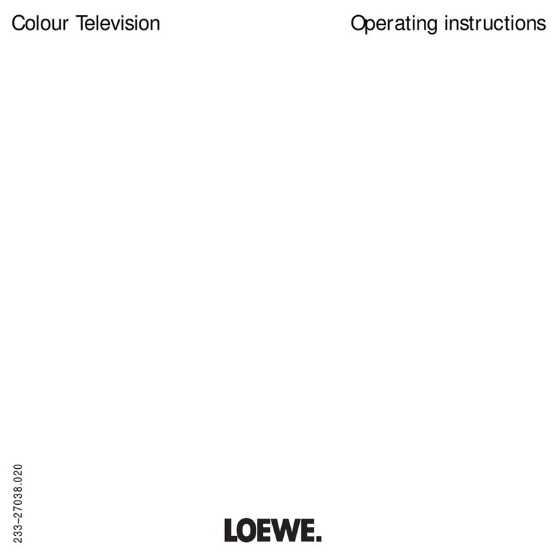 Loewe CT1163 User manual
